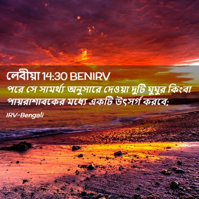 Picture 02 - লেবীয়া 14:30 BENIRV - পরে সে সামর্থ্য - Bible Verse Picture