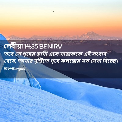 Picture 02 - লেবীয়া 14:35 BENIRV - তবে সে গৃহের - Bible Verse Picture