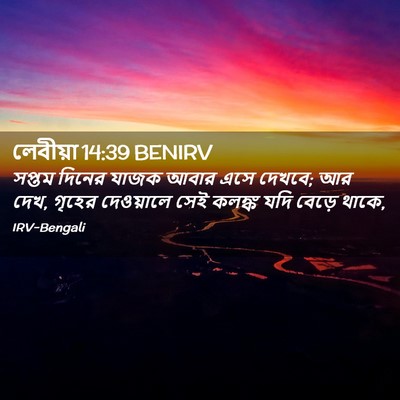 Picture 02 - লেবীয়া 14:39 BENIRV - সপ্তম দিনের যাজক - Bible Verse Picture