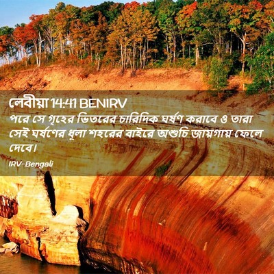 Picture 02 - লেবীয়া 14:41 BENIRV - পরে সে গৃহের - Bible Verse Picture
