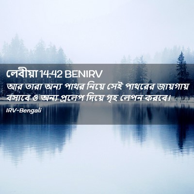 Picture 02 - লেবীয়া 14:42 BENIRV - আর তারা অন্য পাথর - Bible Verse Picture
