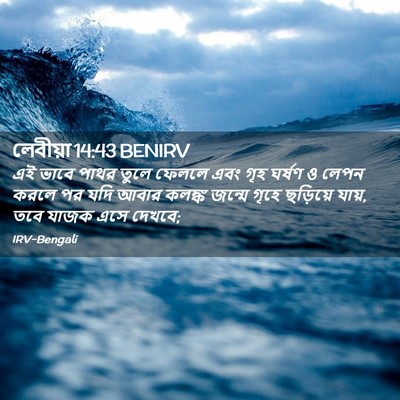 Picture 02 - লেবীয়া 14:43 BENIRV - এই ভাবে পাথর তুলে - Bible Verse Picture