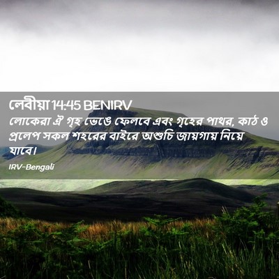Picture 02 - লেবীয়া 14:45 BENIRV - লোকেরা ঐ গৃহ ভেঙে - Bible Verse Picture