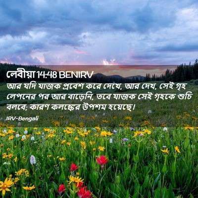 Picture 02 - লেবীয়া 14:48 BENIRV - আর যদি যাজক প্রবেশ - Bible Verse Picture