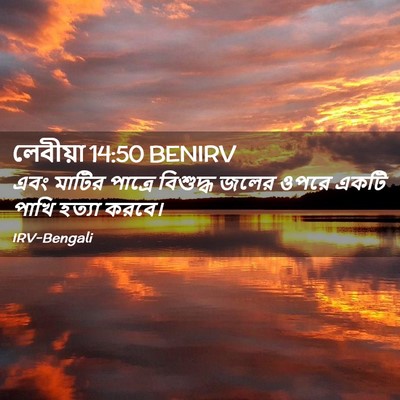 Picture 02 - লেবীয়া 14:50 BENIRV - এবং মাটির পাত্রে - Bible Verse Picture