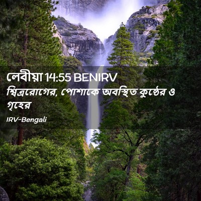 Picture 02 - লেবীয়া 14:55 BENIRV - শ্বিত্ররোগের, - Bible Verse Picture
