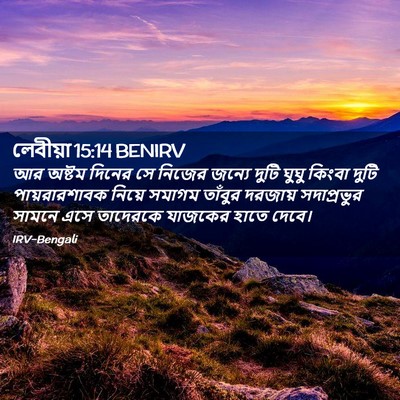 Picture 02 - লেবীয়া 15:14 BENIRV - আর অষ্টম দিনের সে - Bible Verse Picture