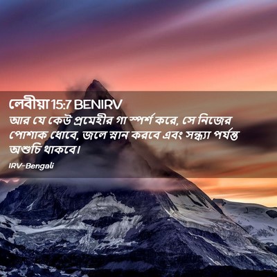 Picture 02 - লেবীয়া 15:7 BENIRV - আর যে কেউ প্রমেহীর - Bible Verse Picture