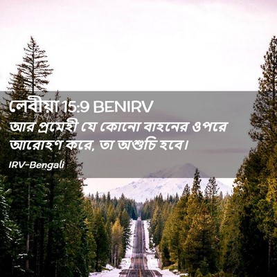 Picture 02 - লেবীয়া 15:9 BENIRV - আর প্রমেহী যে কোনো - Bible Verse Picture