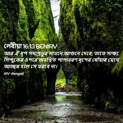 Picture 02 - লেবীয়া 16:13 BENIRV - আর ঐ ধূপ সদাপ্রভুর - Bible Verse Picture