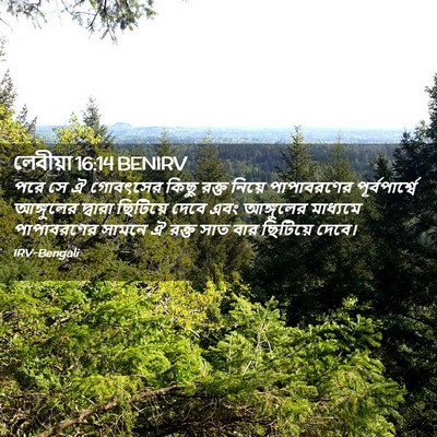 Picture 02 - লেবীয়া 16:14 BENIRV - পরে সে ঐ গোবৎসের - Bible Verse Picture