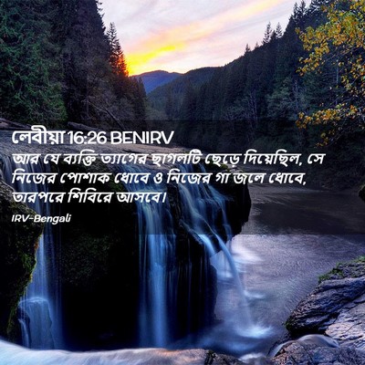 Picture 02 - লেবীয়া 16:26 BENIRV - আর যে ব্যক্তি - Bible Verse Picture