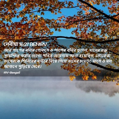 Picture 02 - লেবীয়া 16:27 BENIRV - আর পাপের বলির - Bible Verse Picture