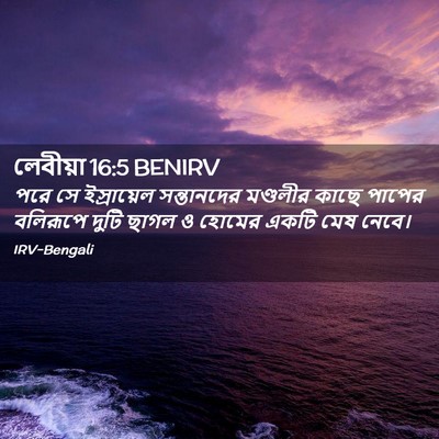 Picture 02 - লেবীয়া 16:5 BENIRV - পরে সে ইস্রায়েল - Bible Verse Picture
