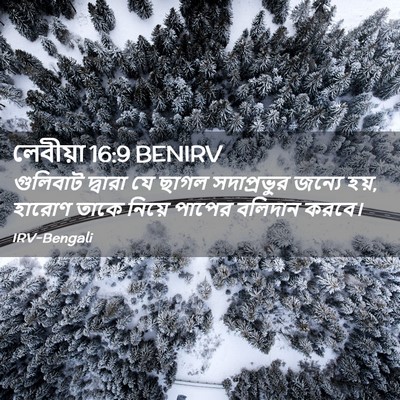 Picture 02 - লেবীয়া 16:9 BENIRV - গুলিবাট দ্বারা যে - Bible Verse Picture