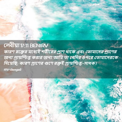 Picture 02 - লেবীয়া 17:11 BENIRV - কারণ রক্তের - Bible Verse Picture