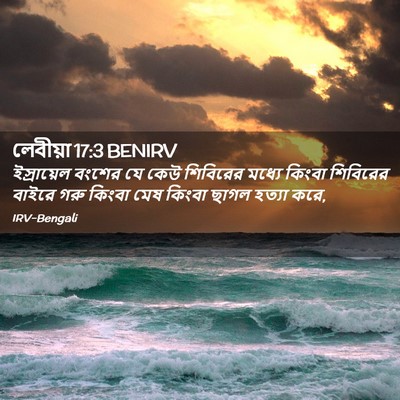 Picture 02 - লেবীয়া 17:3 BENIRV - ইস্রায়েল বংশের - Bible Verse Picture