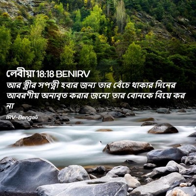 Picture 02 - লেবীয়া 18:18 BENIRV - আর স্ত্রীর সপত্নী - Bible Verse Picture