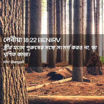 Picture 02 - লেবীয়া 18:22 BENIRV - স্ত্রীর মতো - Bible Verse Picture