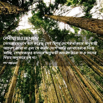 Picture 02 - লেবীয়া 18:3 BENIRV - তোমরা যেখানে বাস - Bible Verse Picture