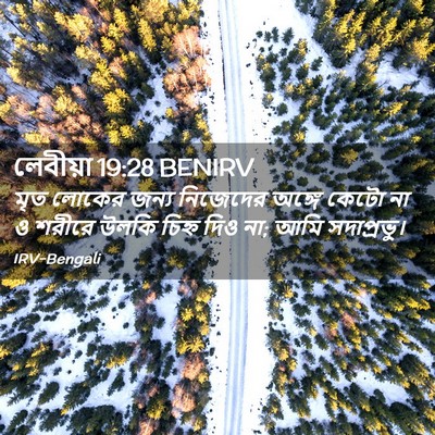 Picture 02 - লেবীয়া 19:28 BENIRV - মৃত লোকের জন্য - Bible Verse Picture