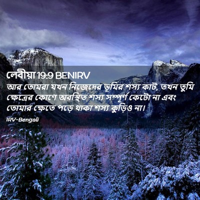 Picture 02 - লেবীয়া 19:9 BENIRV - আর তোমরা যখন - Bible Verse Picture