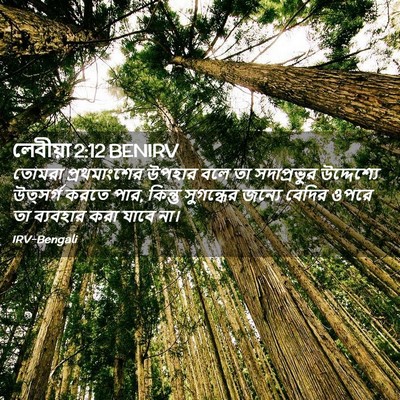 Picture 02 - লেবীয়া 2:12 BENIRV - তোমরা প্রথমাংশের - Bible Verse Picture
