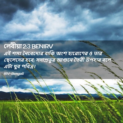 Picture 02 - লেবীয়া 2:3 BENIRV - এই শস্য নৈবেদ্যের - Bible Verse Picture