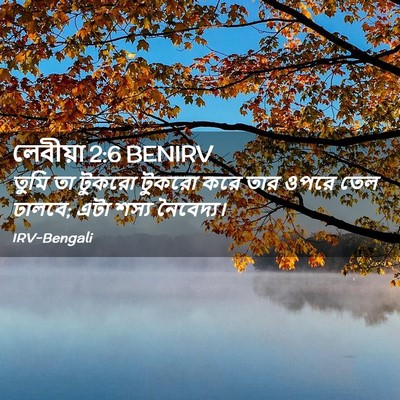 Picture 02 - লেবীয়া 2:6 BENIRV - তুমি তা টুকরো - Bible Verse Picture