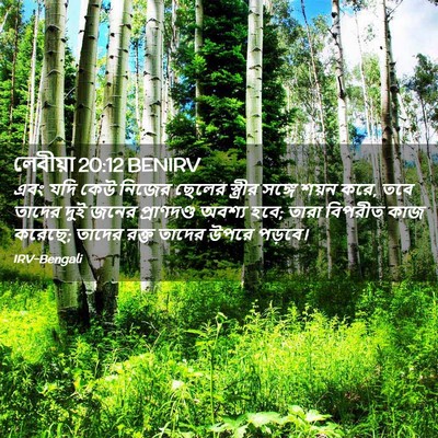 Picture 02 - লেবীয়া 20:12 BENIRV - এবং যদি কেউ নিজের - Bible Verse Picture
