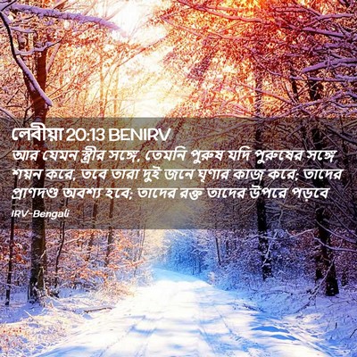 Picture 02 - লেবীয়া 20:13 BENIRV - আর যেমন স্ত্রীর - Bible Verse Picture