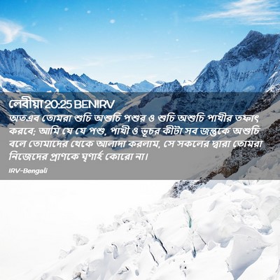 Picture 02 - লেবীয়া 20:25 BENIRV - অতএব তোমরা শুচি - Bible Verse Picture