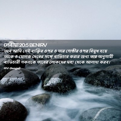 Picture 02 - লেবীয়া 20:5 BENIRV - তবে আমি সেই - Bible Verse Picture