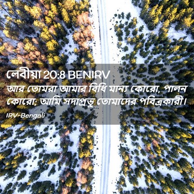 Picture 02 - লেবীয়া 20:8 BENIRV - আর তোমরা আমার বিধি - Bible Verse Picture