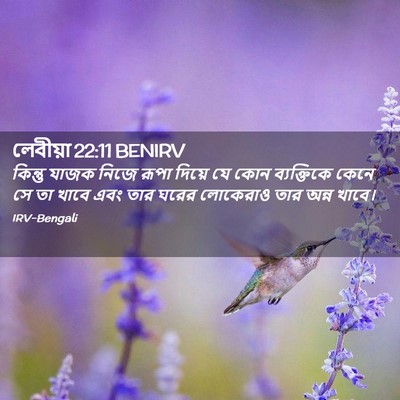 Picture 02 - লেবীয়া 22:11 BENIRV - কিন্তু যাজক নিজে - Bible Verse Picture