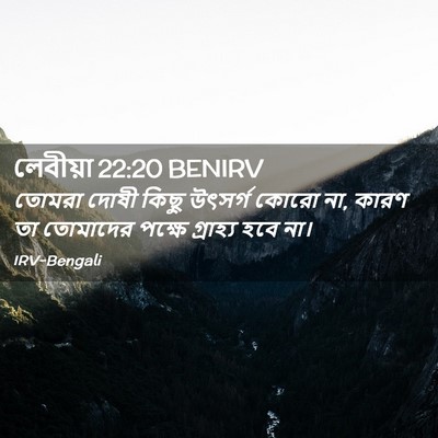 Picture 02 - লেবীয়া 22:20 BENIRV - তোমরা দোষী কিছু - Bible Verse Picture