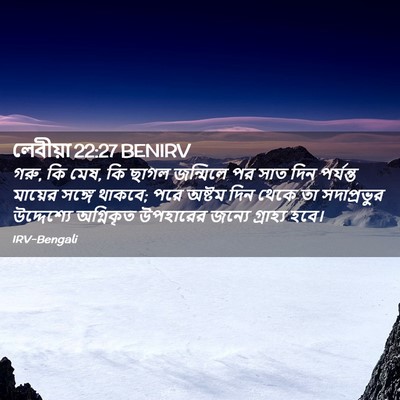 Picture 02 - লেবীয়া 22:27 BENIRV - গরু, কি মেষ, কি ছাগল - Bible Verse Picture