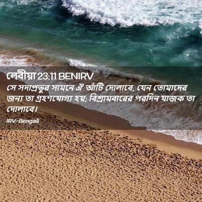 Picture 02 - লেবীয়া 23:11 BENIRV - সে সদাপ্রভুর - Bible Verse Picture