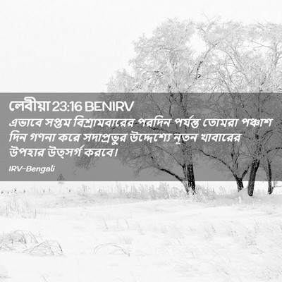 Picture 02 - লেবীয়া 23:16 BENIRV - এভাবে সপ্তম - Bible Verse Picture