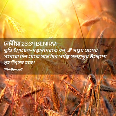 Picture 02 - লেবীয়া 23:34 BENIRV - তুমি - Bible Verse Picture