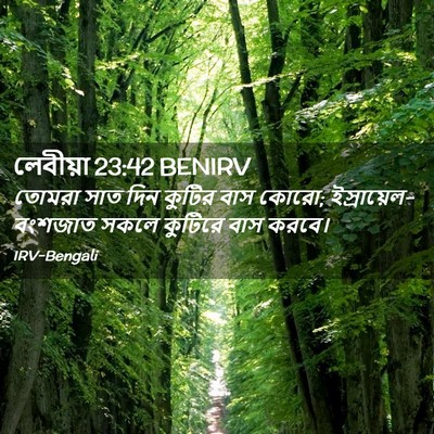 Picture 02 - লেবীয়া 23:42 BENIRV - তোমরা সাত দিন - Bible Verse Picture