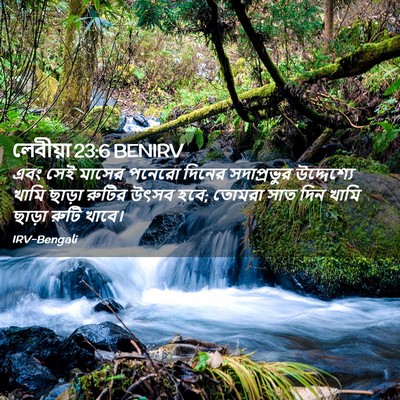 Picture 02 - লেবীয়া 23:6 BENIRV - এবং সেই মাসের - Bible Verse Picture