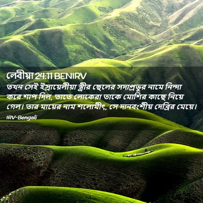 Picture 02 - লেবীয়া 24:11 BENIRV - তখন সেই - Bible Verse Picture