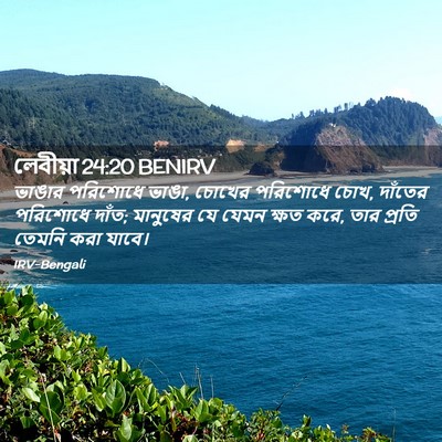 Picture 02 - লেবীয়া 24:20 BENIRV - ভাঙার পরিশোধে - Bible Verse Picture