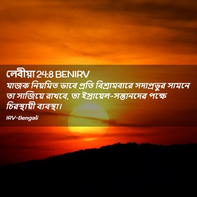 Picture 02 - লেবীয়া 24:8 BENIRV - যাজক নিয়মিত ভাবে - Bible Verse Picture