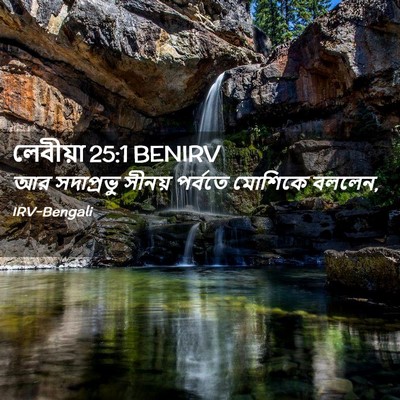 Picture 02 - লেবীয়া 25:1 BENIRV - আর সদাপ্রভু সীনয় - Bible Verse Picture