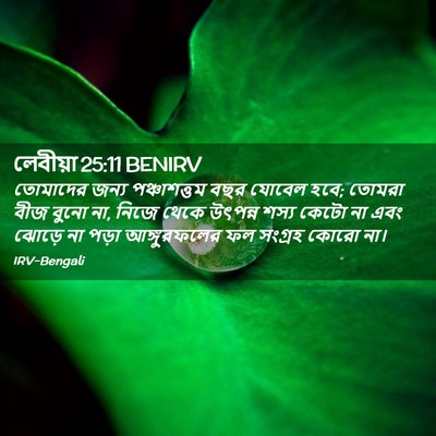 Picture 02 - লেবীয়া 25:11 BENIRV - তোমাদের জন্য - Bible Verse Picture