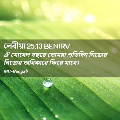 Picture 02 - লেবীয়া 25:13 BENIRV - ঐ যোবেল বছরে তোমরা - Bible Verse Picture