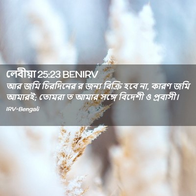 Picture 02 - লেবীয়া 25:23 BENIRV - আর জমি চিরদিনের র - Bible Verse Picture