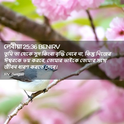 Picture 02 - লেবীয়া 25:36 BENIRV - তুমি তা থেকে সুদ - Bible Verse Picture